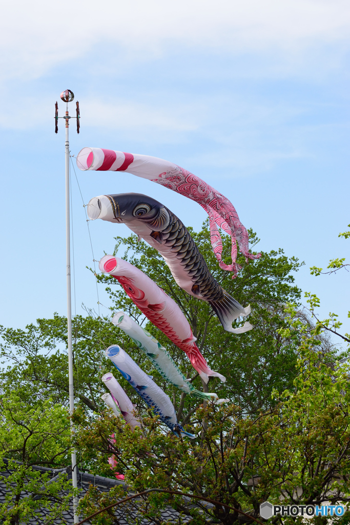 いらかの波を下に見て