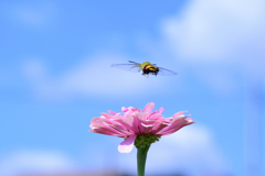 朝ごはんへ一直線