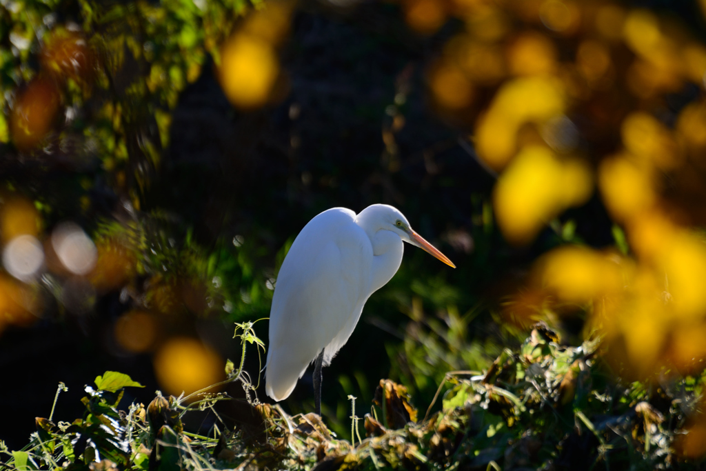 木枯らしの中で