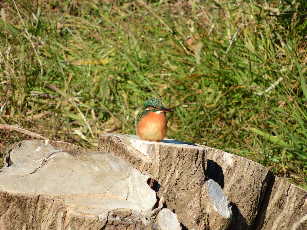 思い出の場所で