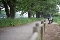早朝の散歩道