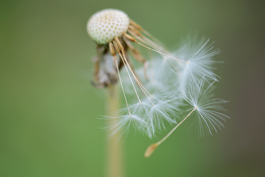旅立ちの風を待つ
