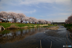 川面に映る
