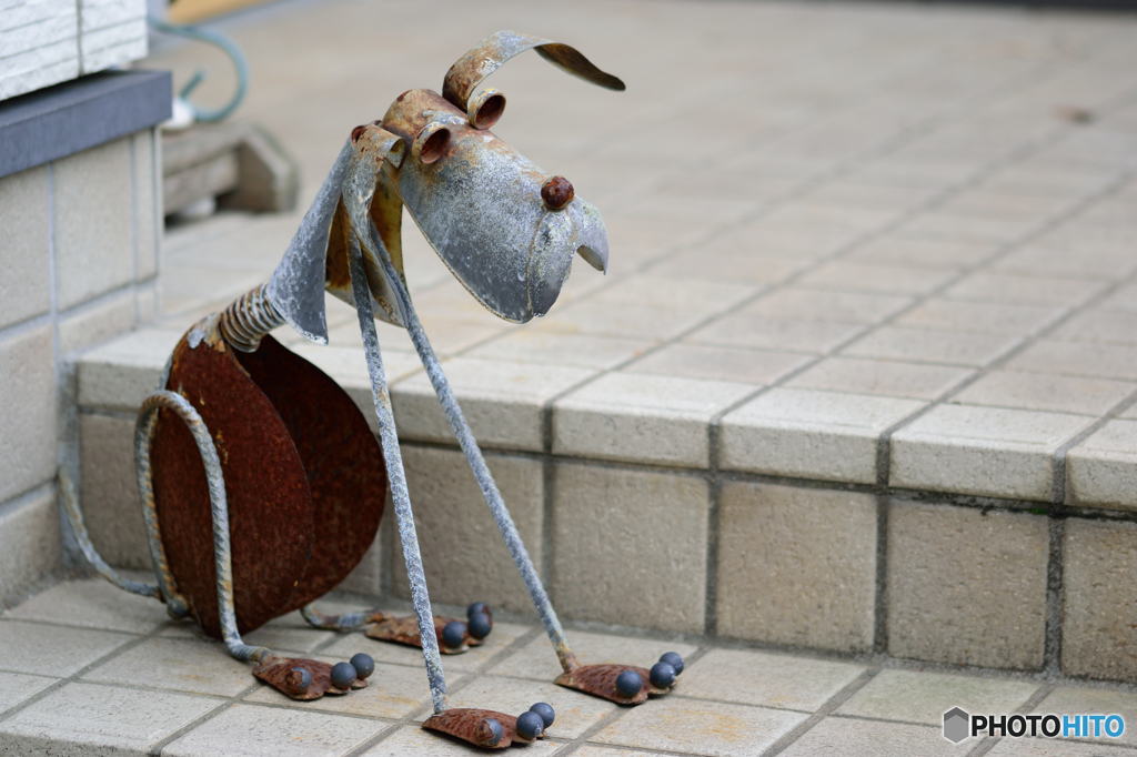 鋼の番犬