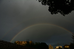 今日も良いことあるかな