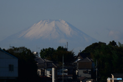 荒川から富士を望む