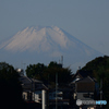 荒川から富士を望む