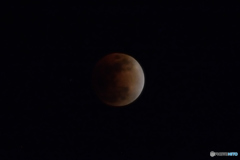 Blood　Moon