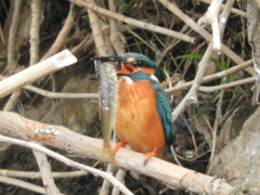朝から特盛はきつい