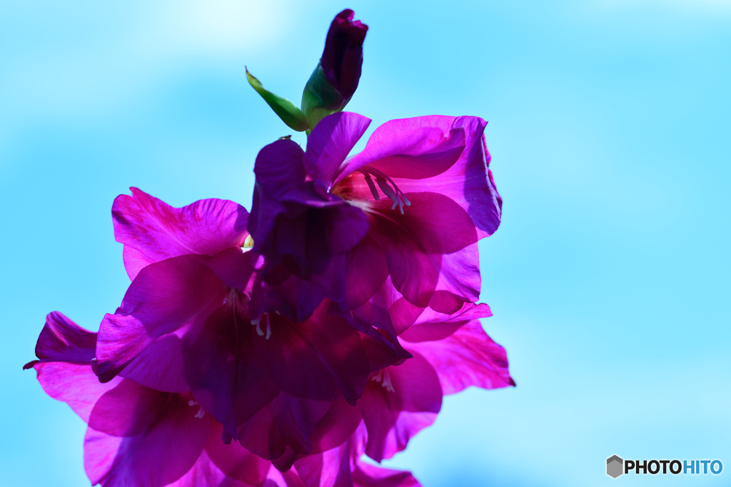 青空、にあうかな