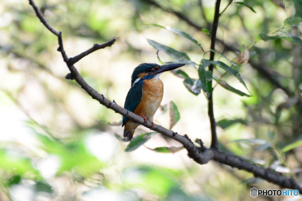 吐息が聞こえそう 