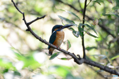 吐息が聞こえそう 