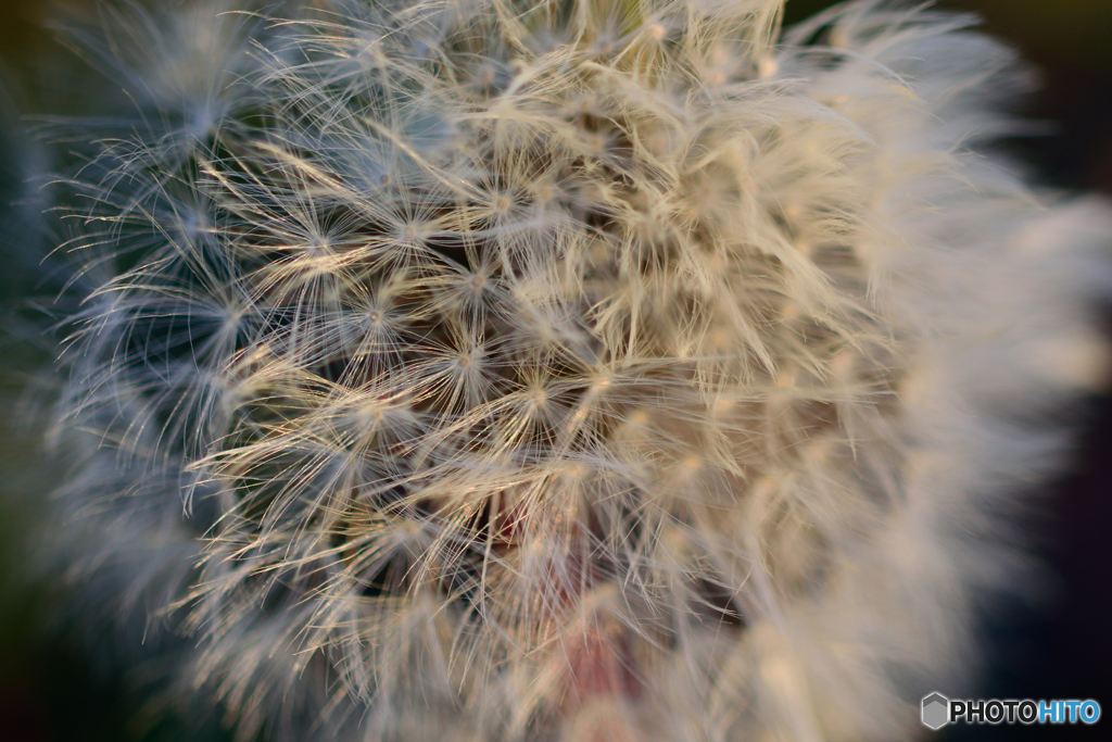冬の花火