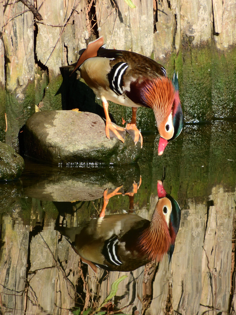 やさしいキスを