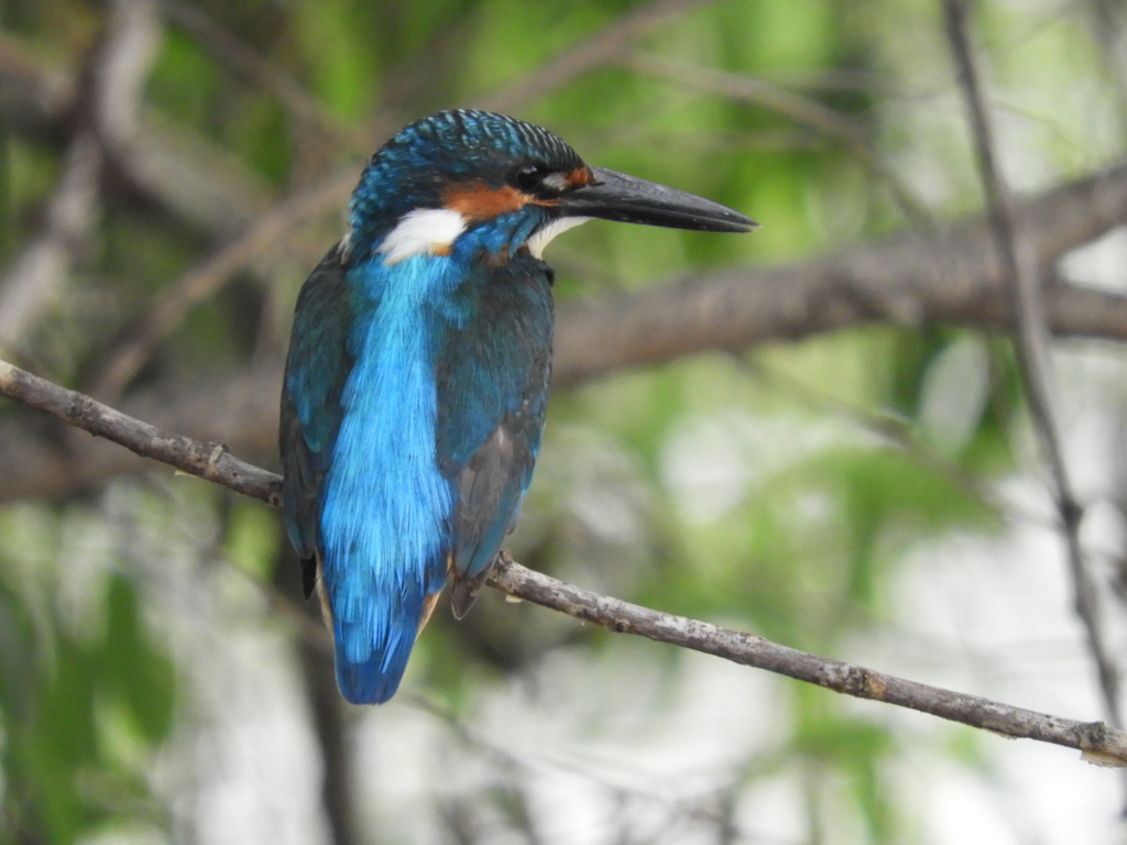 餌取前の一休み
