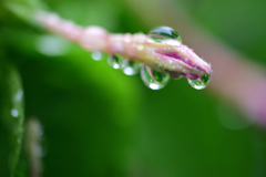 雨の日に_1