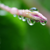 雨の日に_1