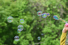 シャボン玉誕生