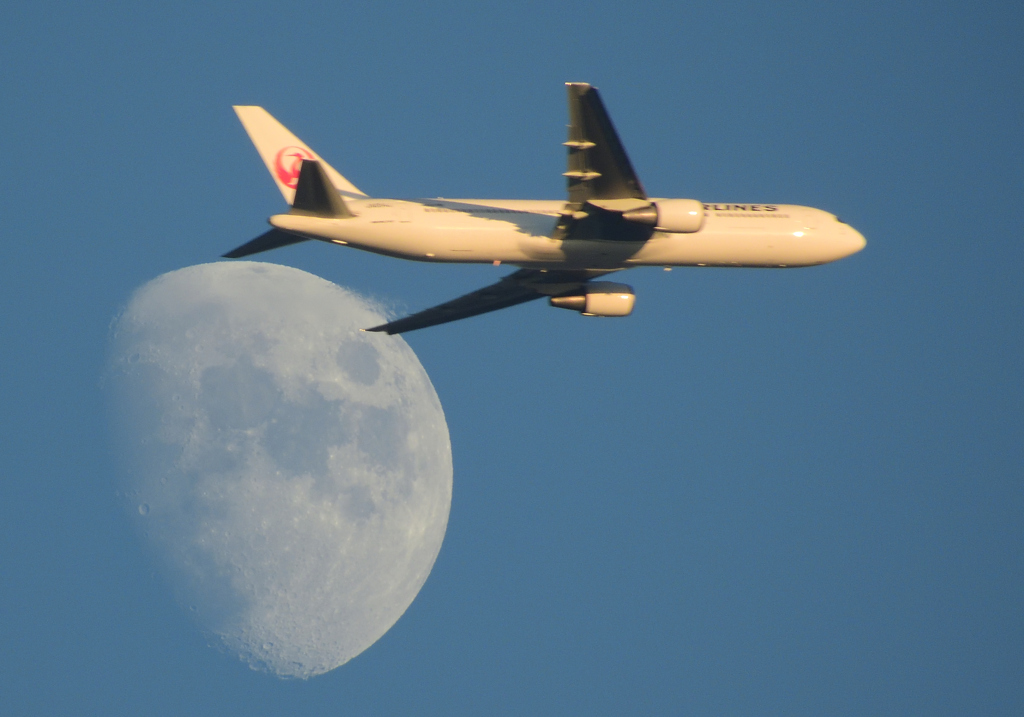 月に鶴
