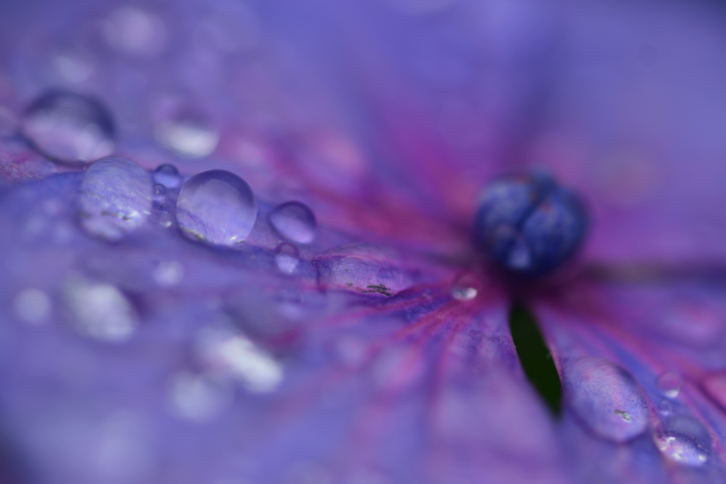 雨の残滓