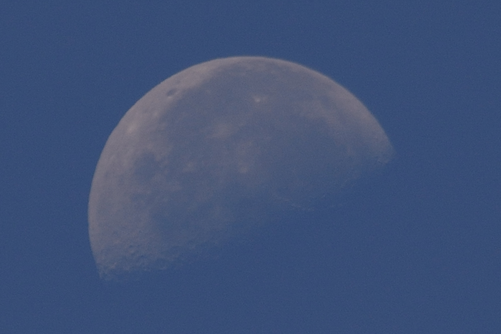昼の月