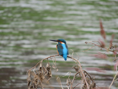 お気に入りの場所_1