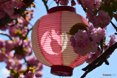 昼行燈