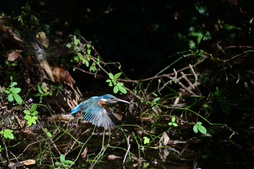 30分待った結果