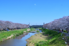 花まつりの後で_4