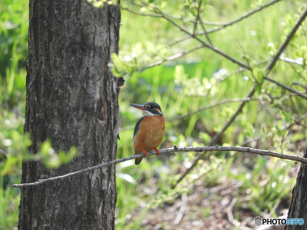 彼の帰りを待つ