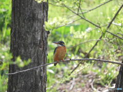 彼の帰りを待つ