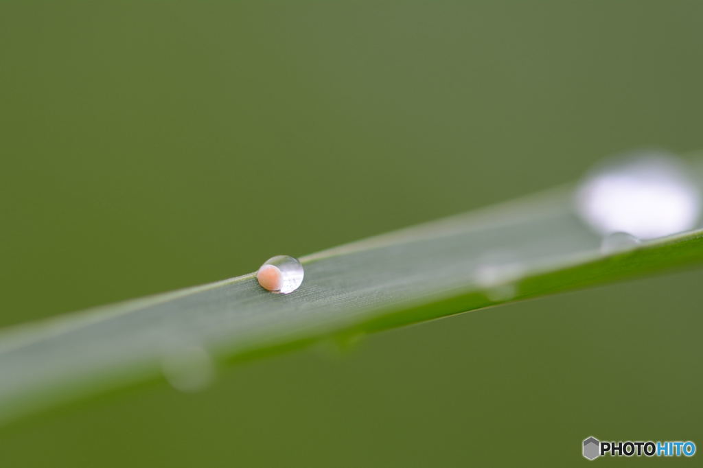 水滴レンズ