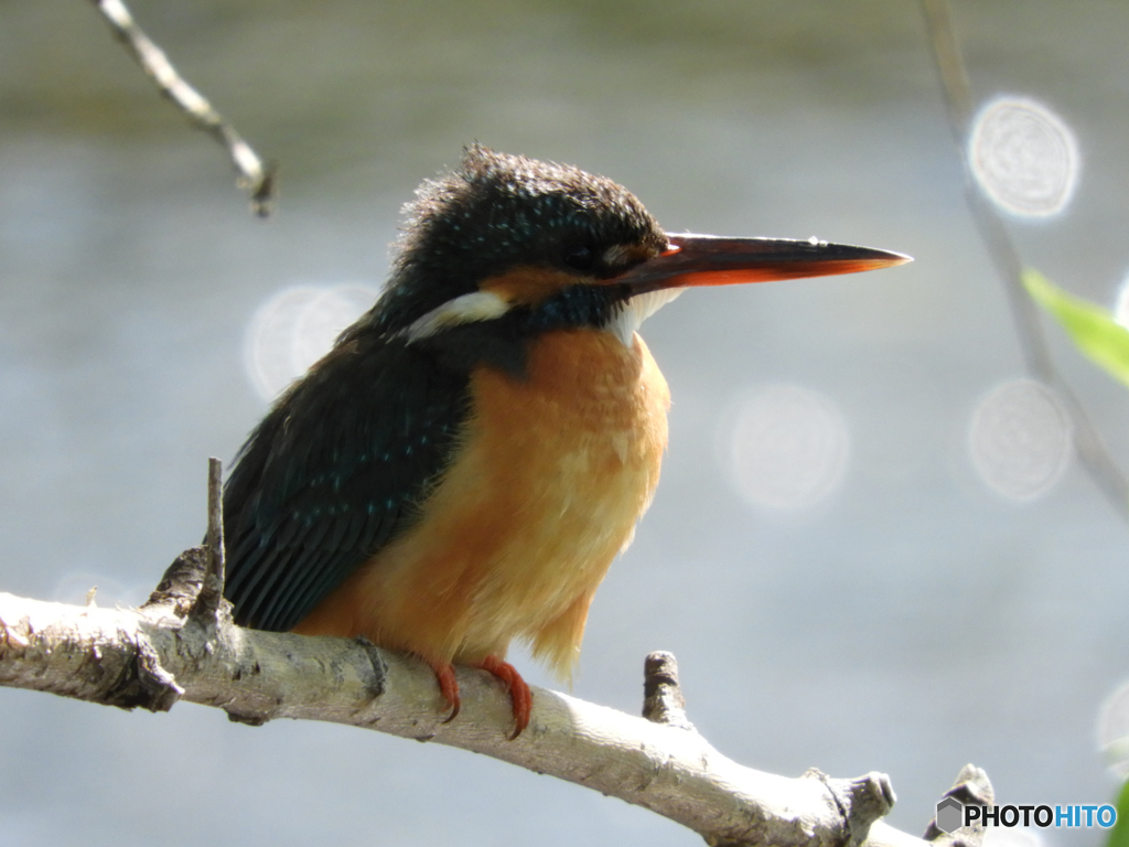 今日も帰りを待つ