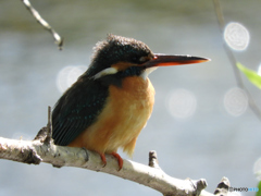 今日も帰りを待つ