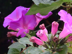 もうすぐ冬ですよ