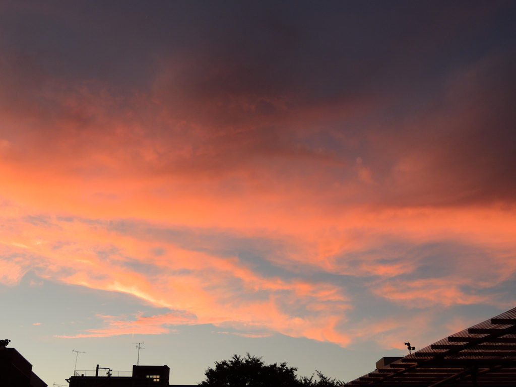 朝焼け