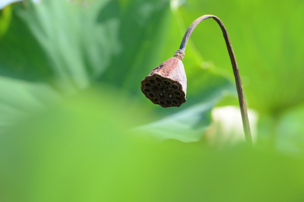 おーい、水出ないぞ