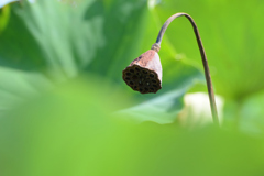 おーい、水出ないぞ