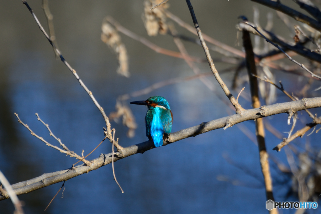 ブルーな男の子