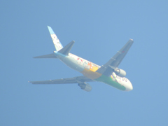 なんのペイントかな？