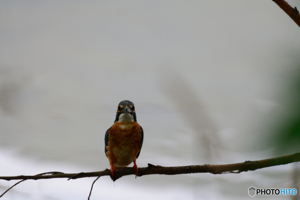 正面は意外と×××