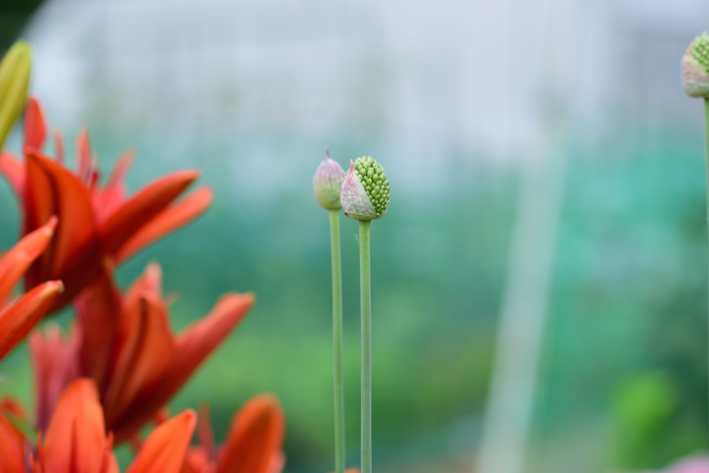 一皮むけました