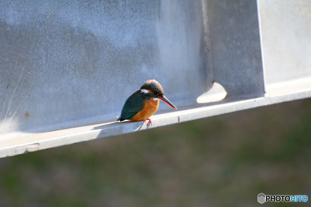 最近のお気に入りの場所