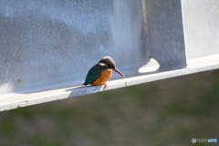 最近のお気に入りの場所