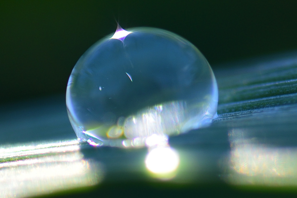 とんがり帽子の水玉クン