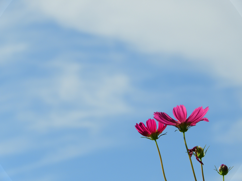 秋空の下で