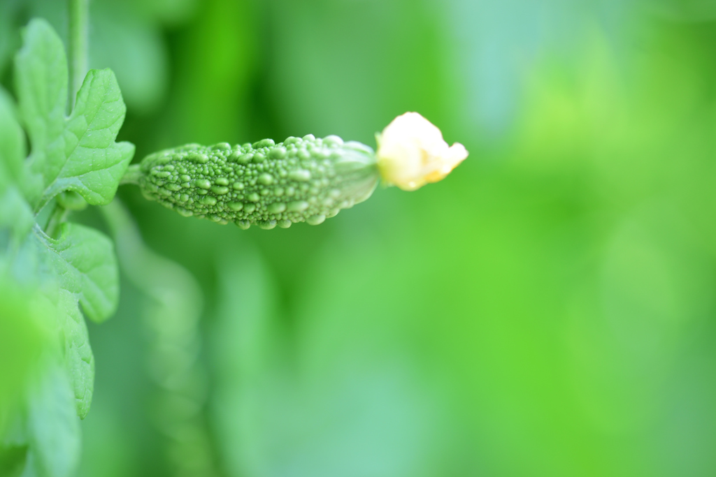 小さいころからニキビ面