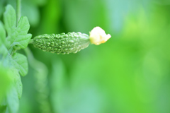 小さいころからニキビ面