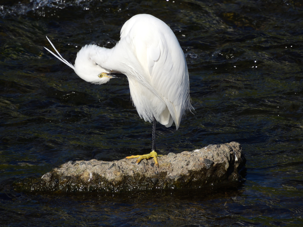 お気に入りの場所で