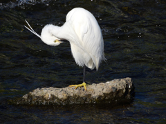 お気に入りの場所で